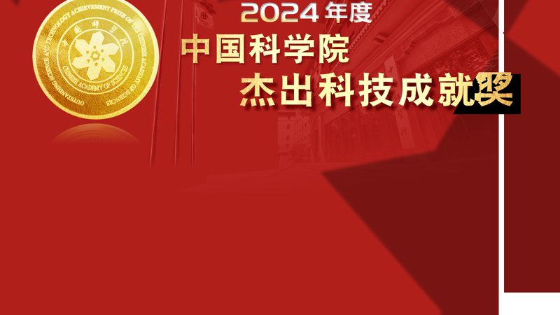 揭秘科技公司核心技术岗位：关键角色与职责**