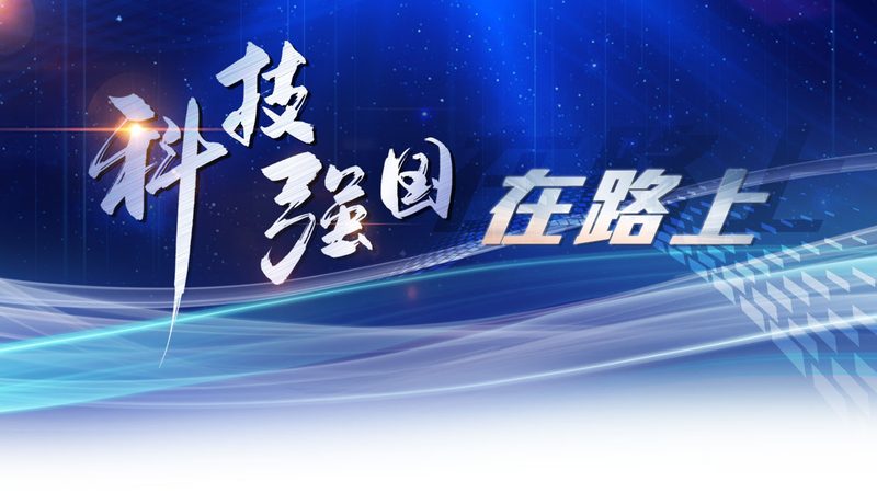 物联网解决方案：揭秘厂家直销背后的价值与考量