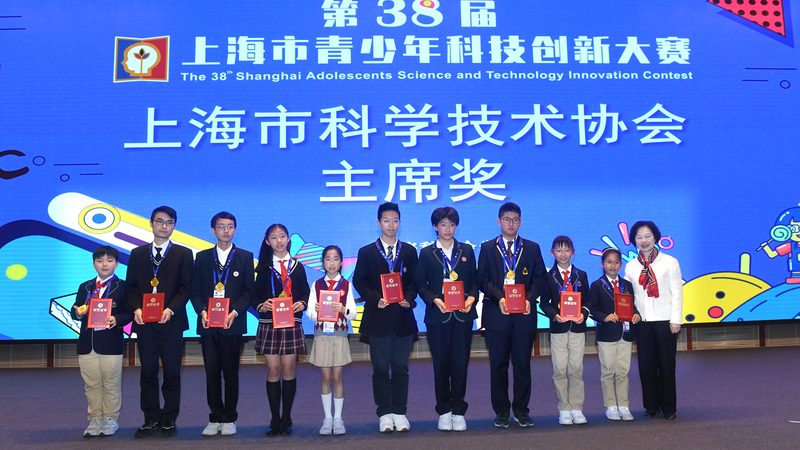 智慧解决方案实施流程与步骤：构建高效IT架构的关键路径